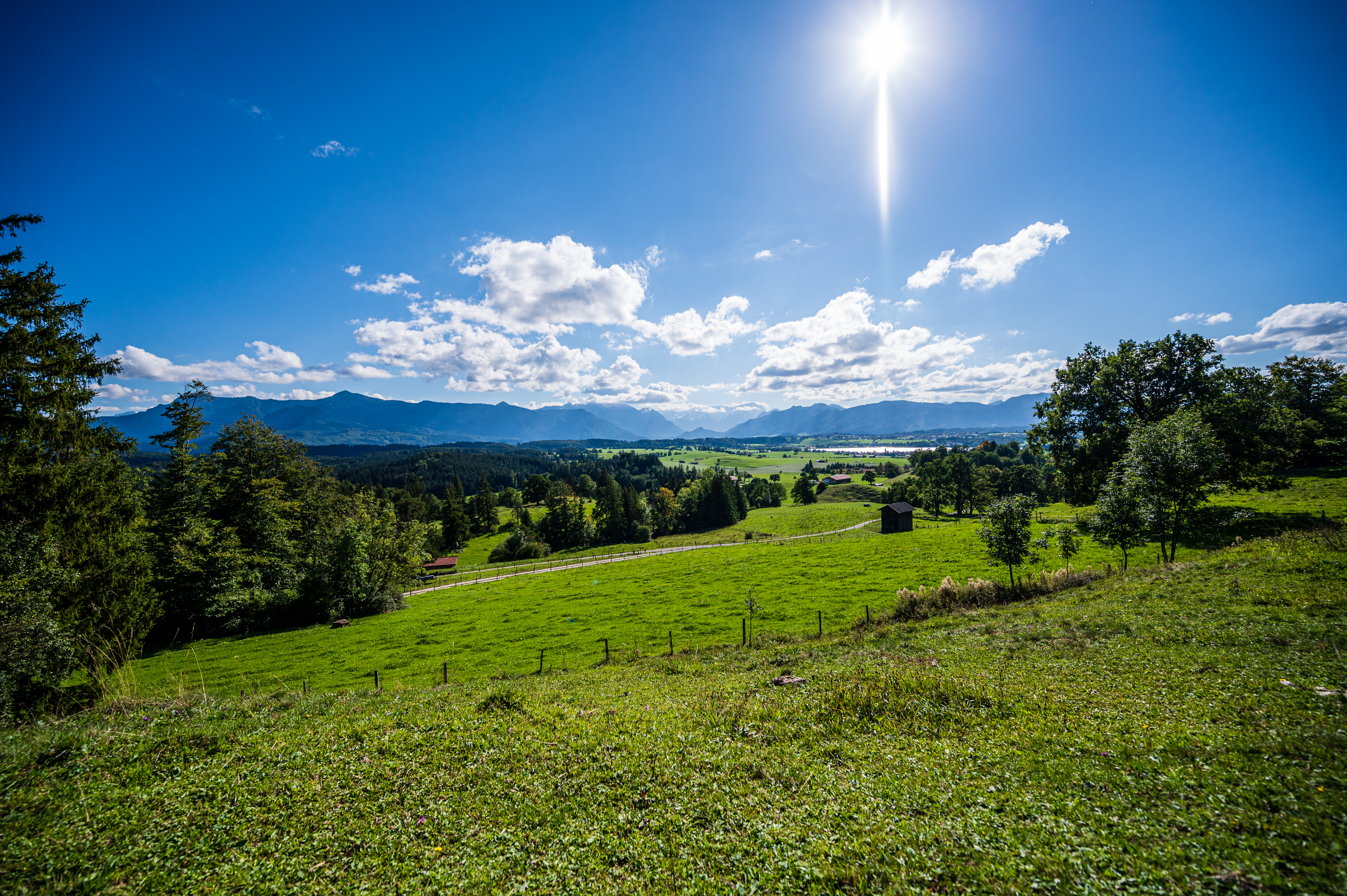 Wanderung Aidlinger Höhe